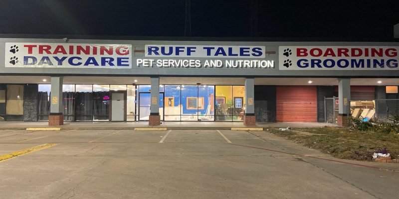 Puppy Food in Houston, Texas