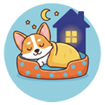 Dog Boarding