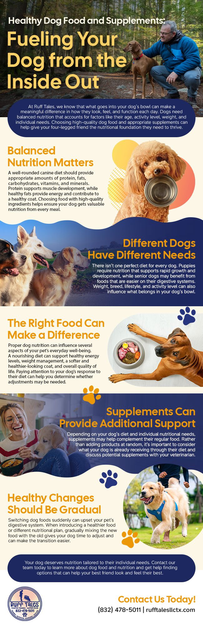 Healthy Dog Food and Supplements: Fueling Your Dog from the Inside Out