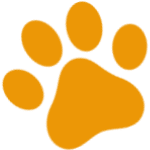 paw